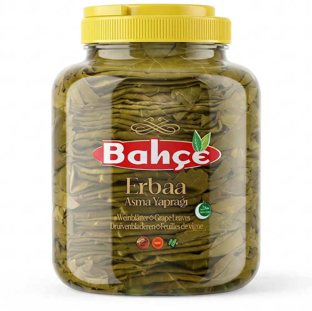 Asma Yaprakları